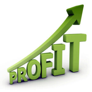 Creating-Your-Profit-Generating-Success-Systems